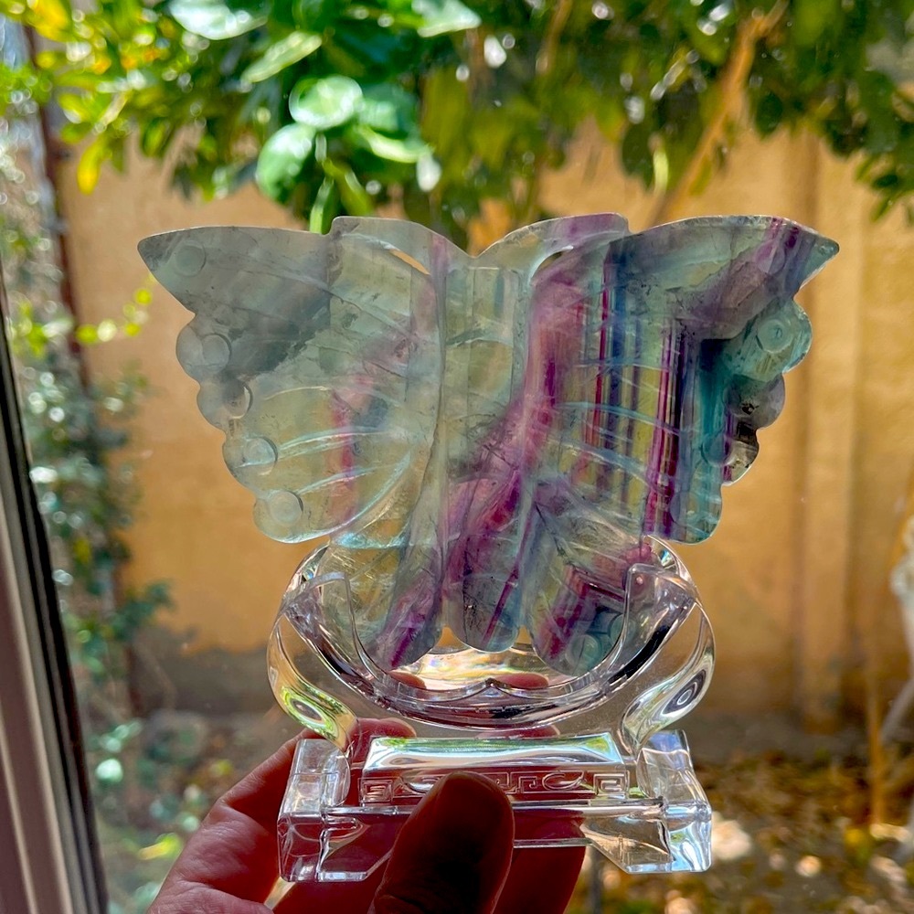 Amazing Fluorite Multicolor Carved Butterfly Crystal Sculpture 🦋